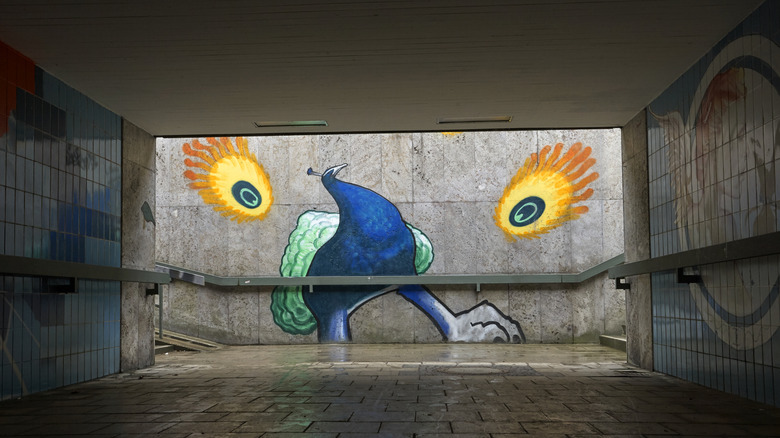 Street art of peacock in Munich metro underpass.