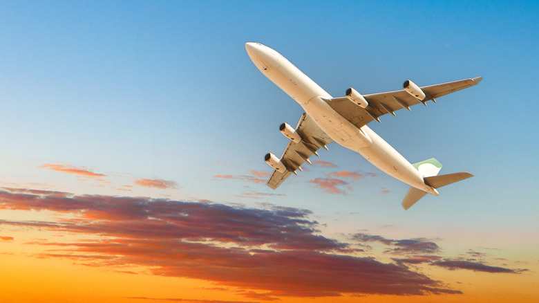 This Once-Popular Airline Freebie Is Now A Vintage Travel Item Sought After By Collectors