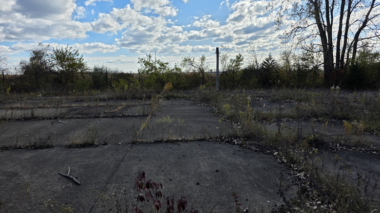 An overgrown launch field at Nike Missile Site C-47 in Indiana