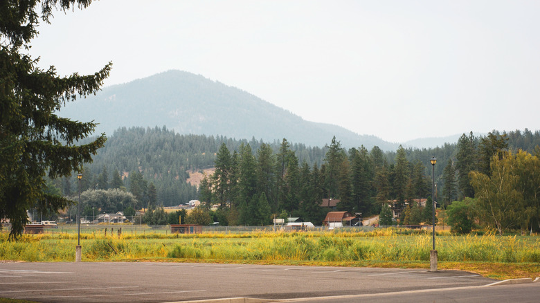 Chewelah, Washington, brimming with trees, with Colville National Forest in distance