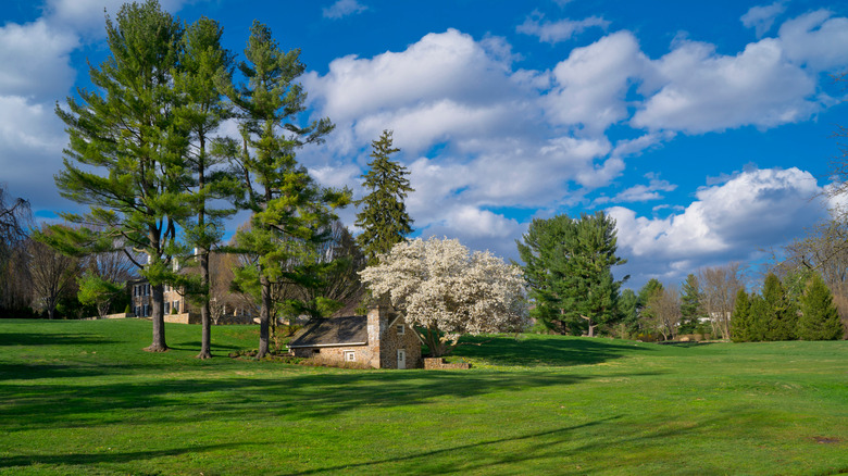 Roadside scenery in Wayne, Pennsylvania