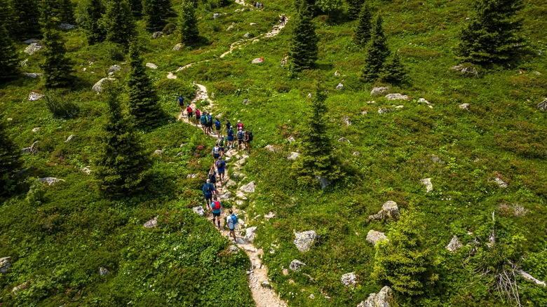 Hikers on the Tour du Mont Blanc
