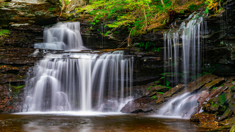 Timelapse of a waterfall in a forest