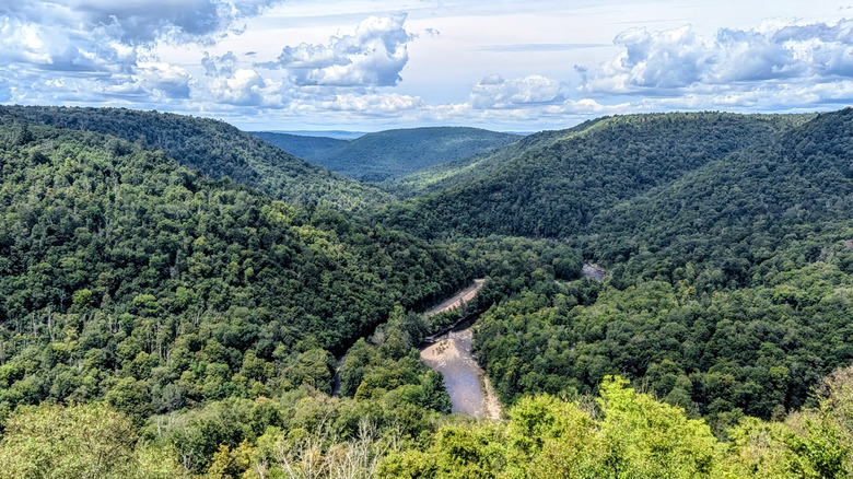 The view of Worlds End State Park's Loyalsock Canyon