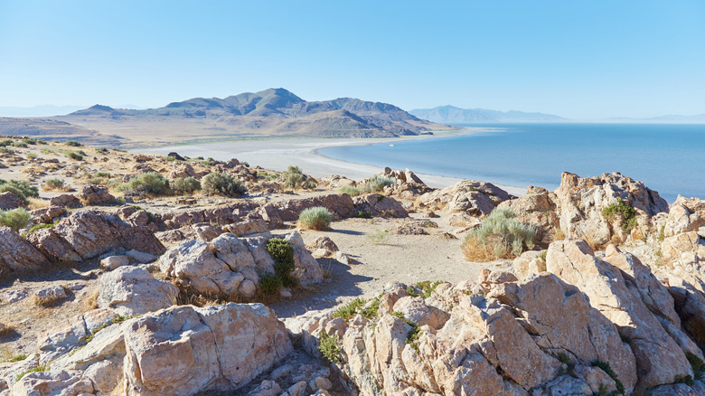 Great Salt Lake from Antelope Island State Park