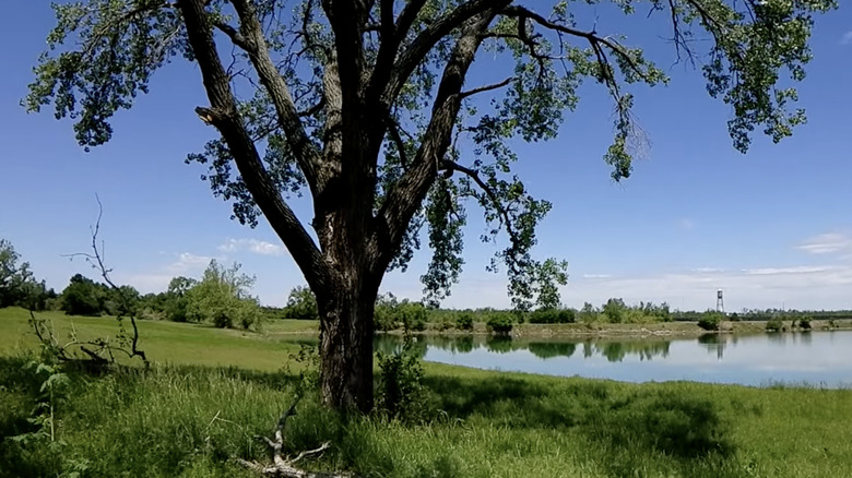 Eagle Lake Park on a sunny day