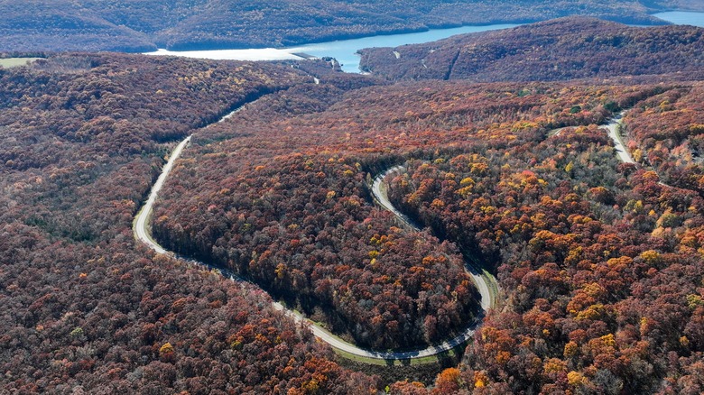 Road winding through Lake Fort Smith State Park