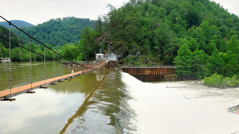 the Ocoee River with vegetation in Ducktown, Arizona