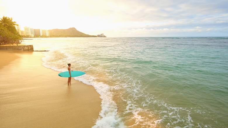 A surfer on the Oahu shoreline
