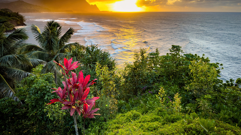 Napali Coast on Kauai with a sunset in the background