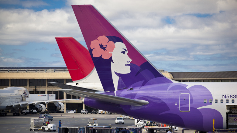 Hawaiian Airlines planes at the airport