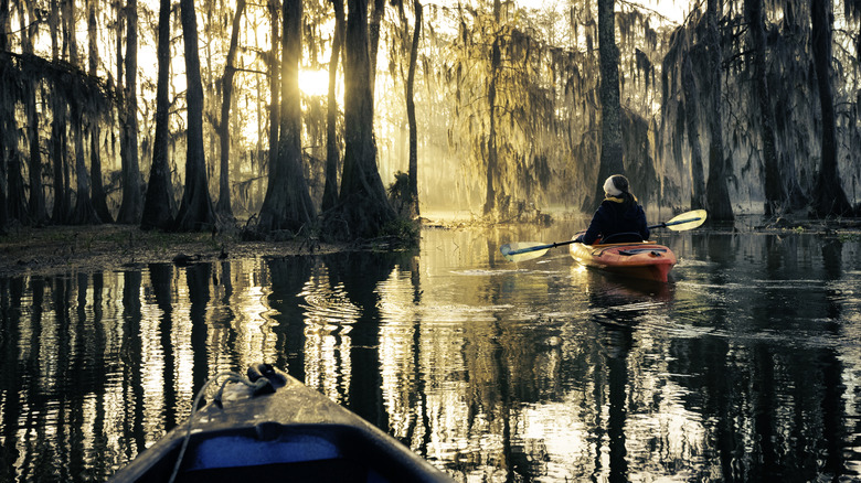 Kayakers on bayou in Louisiana with golden light