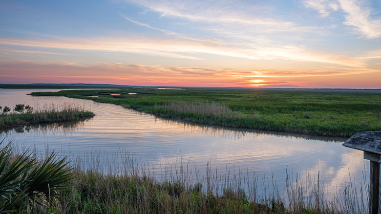 Sunrise over Louisiana bayou