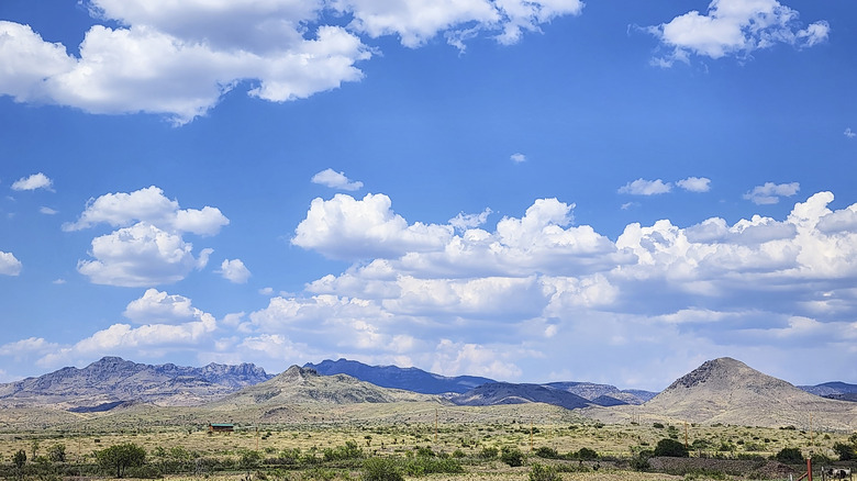 The peaks of the Davis Mountains above rolling plains