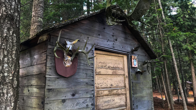 A rustic shed at Priest Lake