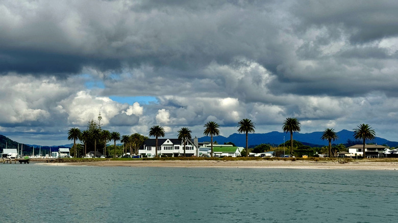 White houses with palm trees on the shoreline under cloudy sky, Whitianga
