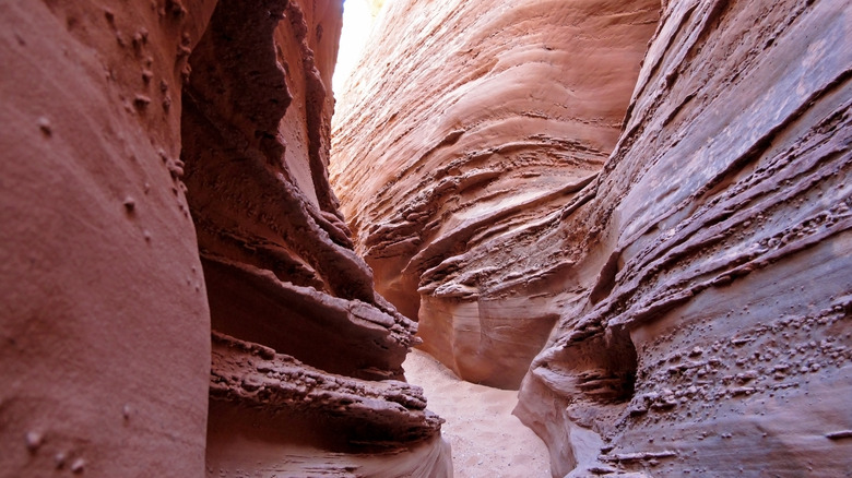 Spooky Gulch slot canyon, at Dry Fork, Grand Staircase Escalante National Monument, Utah, USA