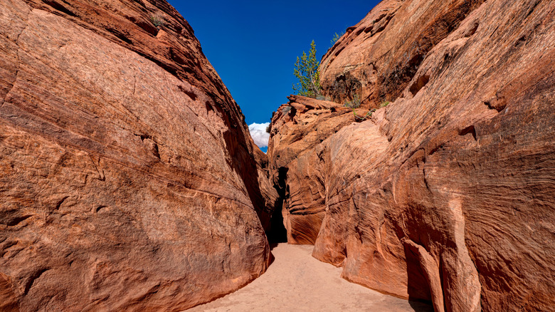 Spooky Gulch in Grand Staircase-Escalante National Monument, Utah, USA