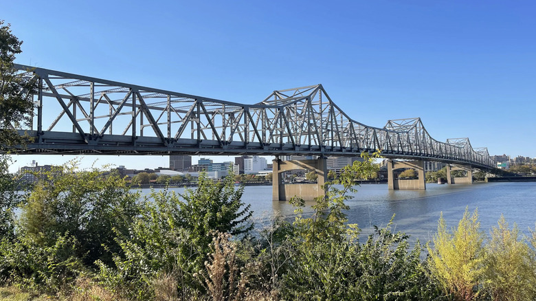 View of greenery, bridge across Illinois River, and downtown Peoria at East Peoria Riverfront Park.