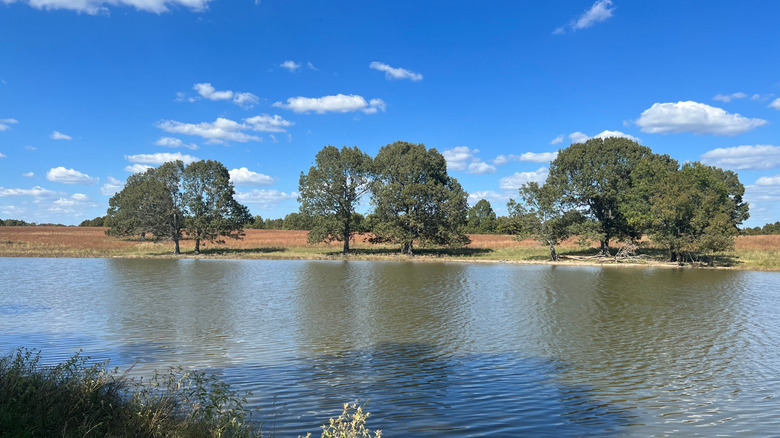 A pristine lake in Highland, Arkansas