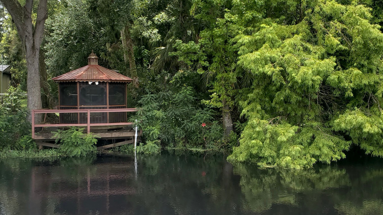 Wooden hut on the edge of the St. John's River
