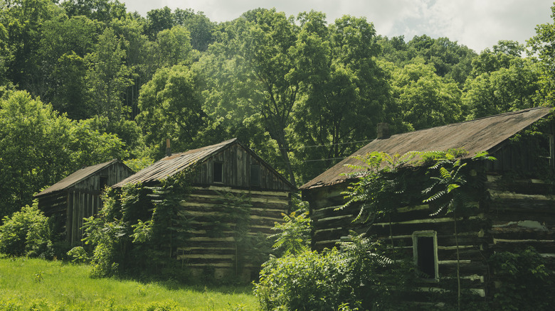 Rural farm scenery in Altoona, Pennsylvania