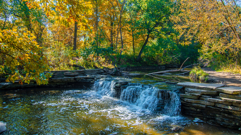 Waterfall Glen Forest Preserve view near Darien Illinois