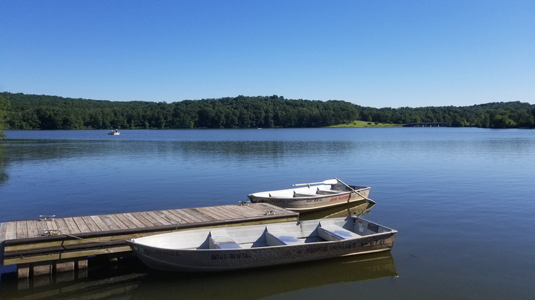 Boats next to wooden dock blue water thick trees Shawnee Lake