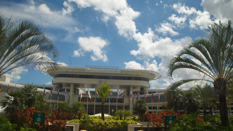 Exterior of Miami International Airport, with palm trees