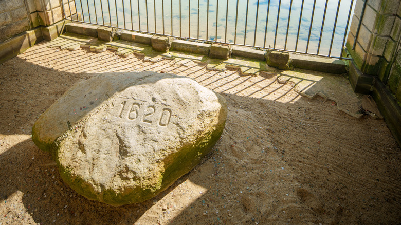 view of Plymouth Rock in the sunlight inside the fenced display area