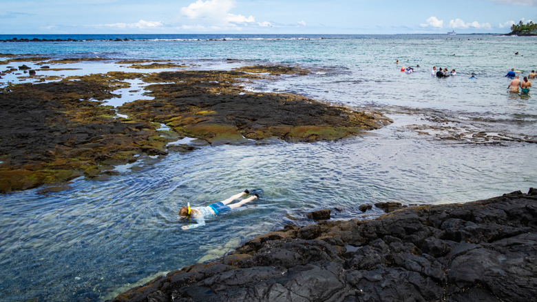 A snorkeler in Kahalu'u in O'ahu, Hawaii