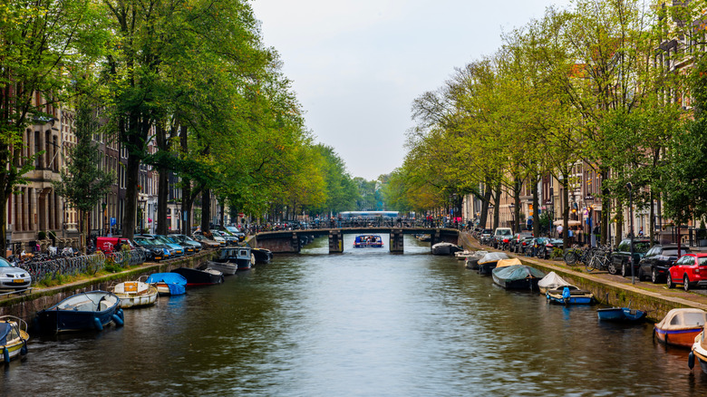 Amsterdam canal lined with boats and trees