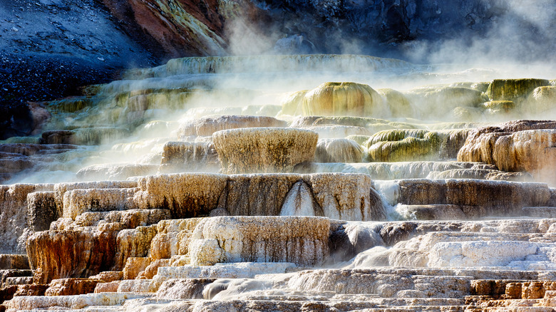 Hot springs at Minerva Terrace in Yellowstone National Park