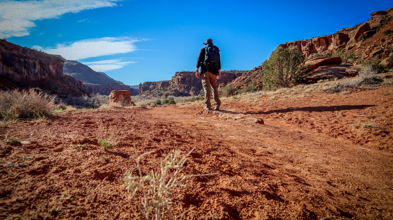 Hiker passing through the rust-colored Colorado desert