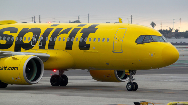 A yellow Spirit Airlines airplane on the ground