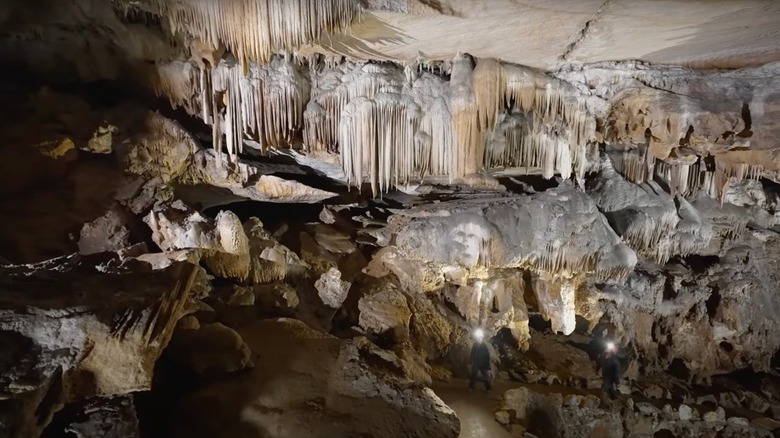 YouTube/Sequoia Parks Conservancy