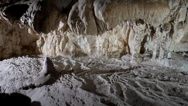 YouTube/Sequoia Parks Conservancy