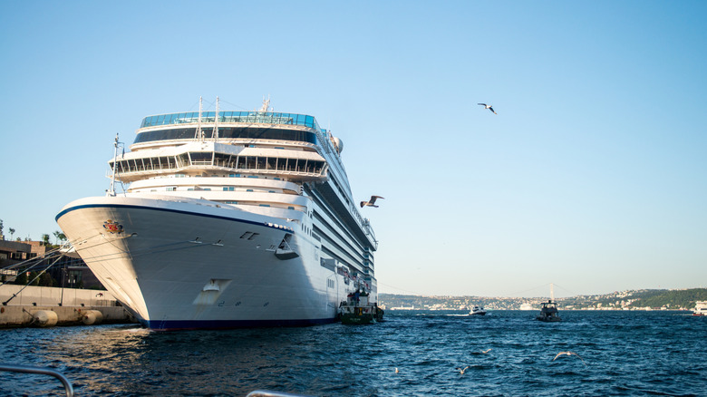 A cruise ship docked with gulls flying around