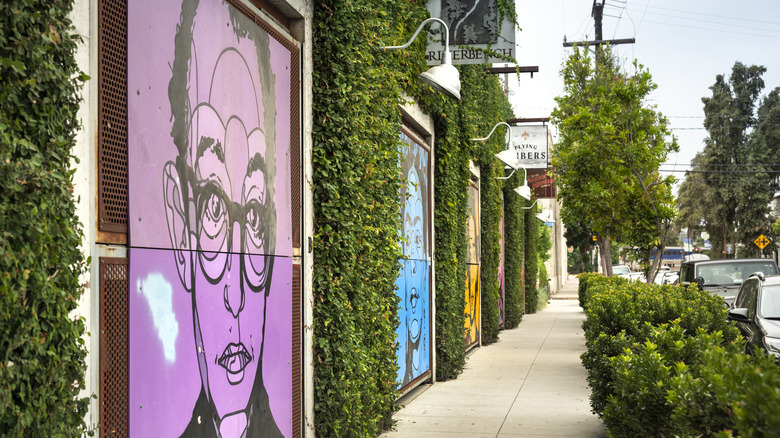 picture of murals and greenery in the Funk Zone of Santa Barbara