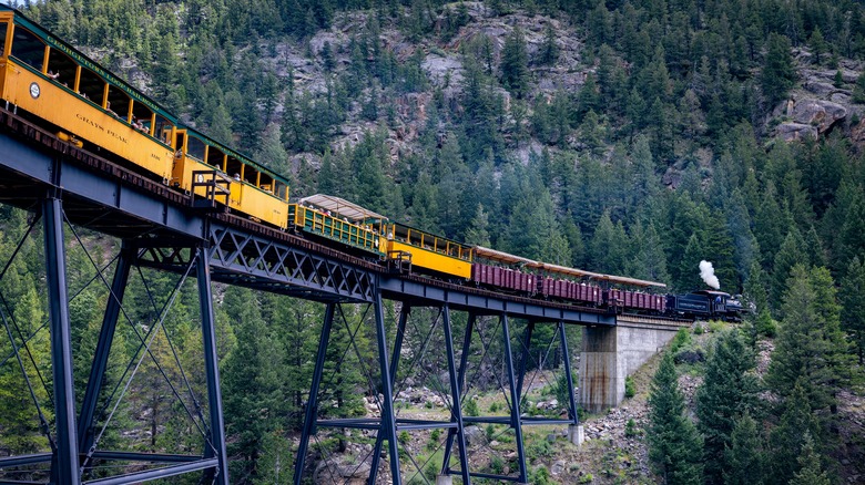 Yellow and red train cars on elevated tracks running through pine forest