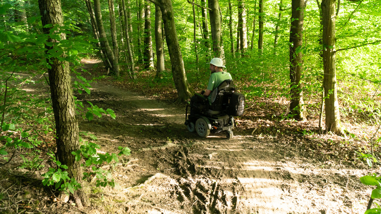 A disabled hiker in a wheelchair exploring the forest