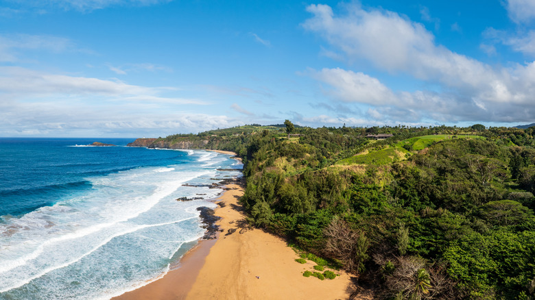 Aerial view of Kauapea Beach or Secret Beach