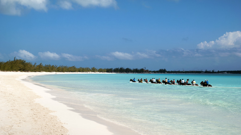 Riding horses in the water on Half Moon Cay