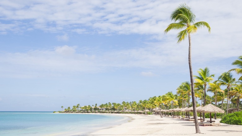 View of the Jumby Bay Beach