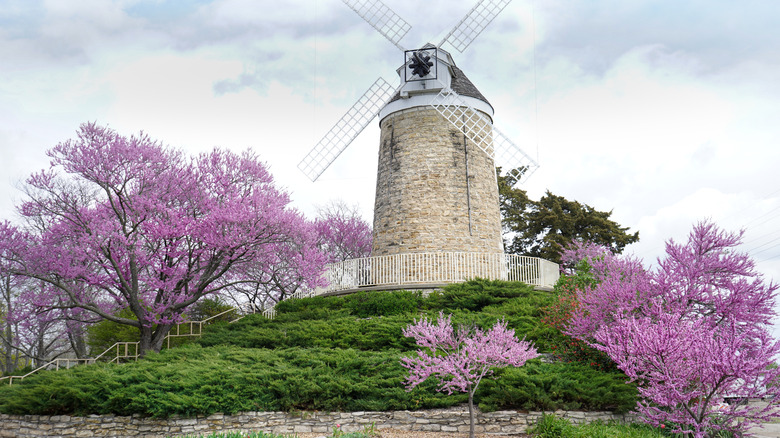 A Dutch windmill in Wamego, Kansas surrounded by magnolia trees.
