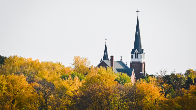 Top of autumn trees with a cathedral's roof in the background in Dayton, Minnesota.