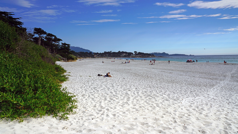 View across white-sand Carmel Beach in Carmel-by-the-Sea, California