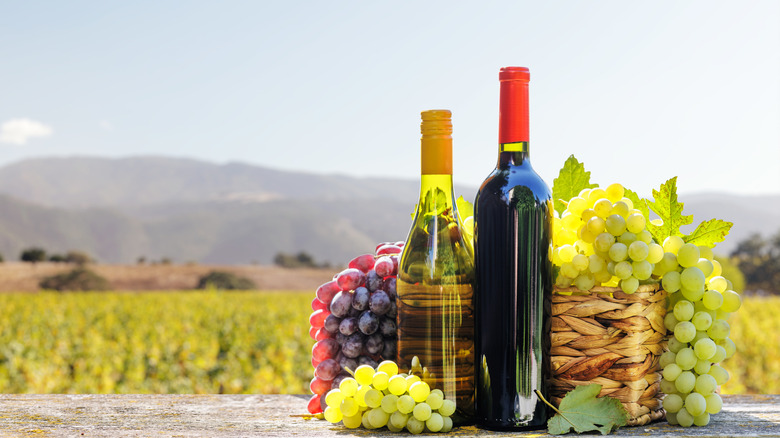 Bottles of red and white wine and a basket of grapes in front of a sprawling vineyard