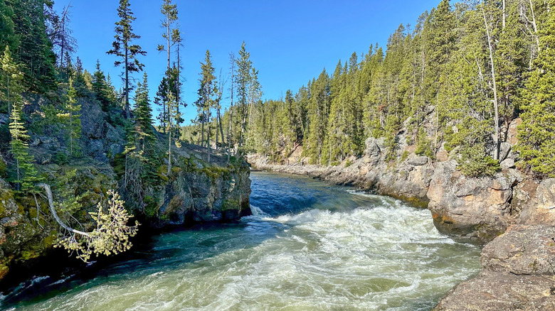 Part of the nearby Yellowstone River surrounded by rocks and trees
