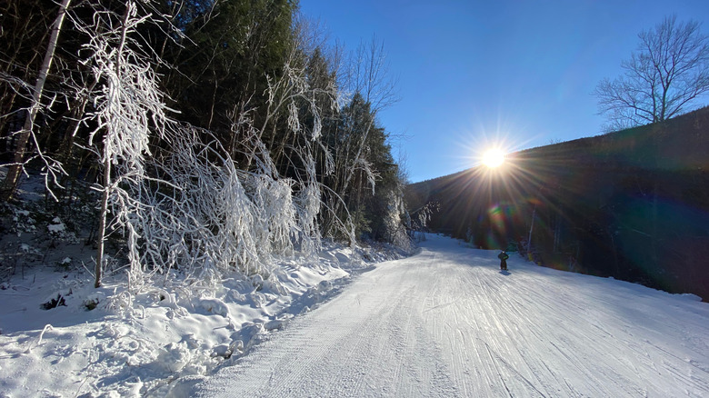 A ski slope at Okemo Mountain in Vermont on a sunny day